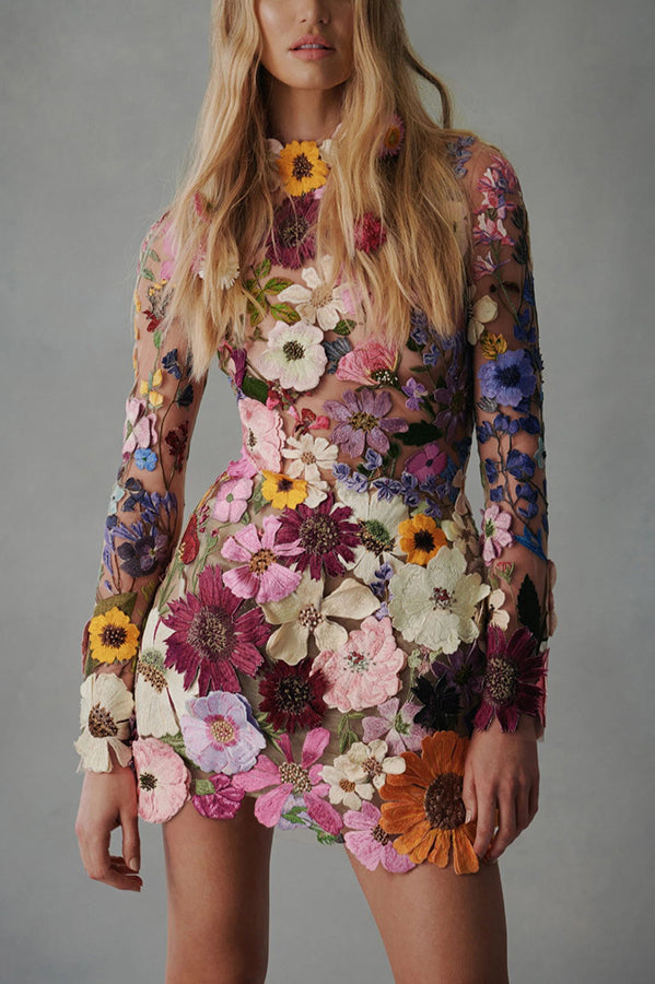 3D Floral Appliqué Sheer Bodycon Mini Dress