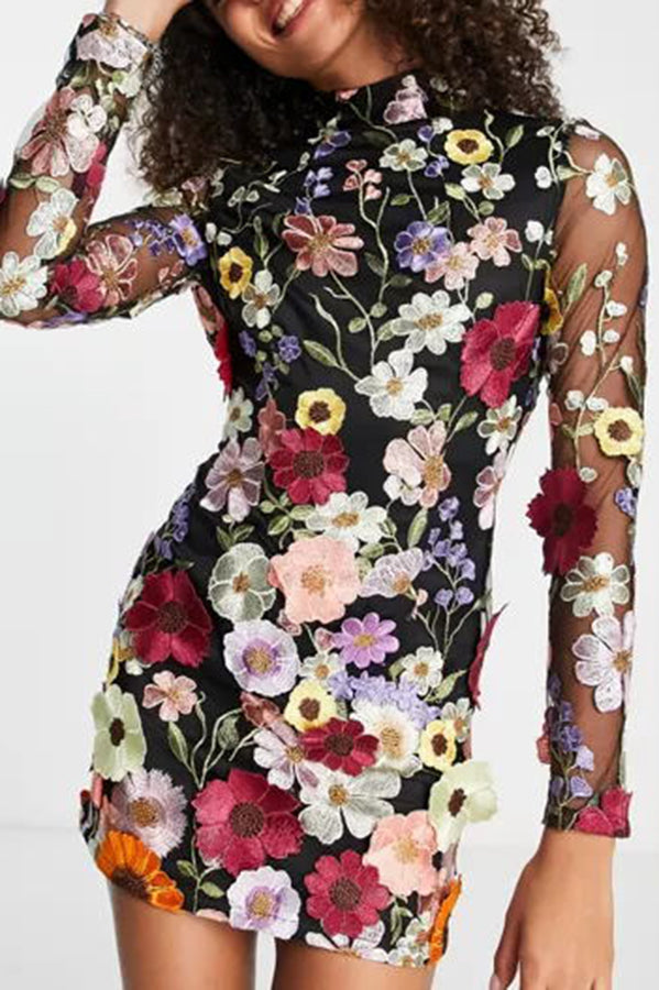 3D Floral Appliqué Sheer Bodycon Mini Dress