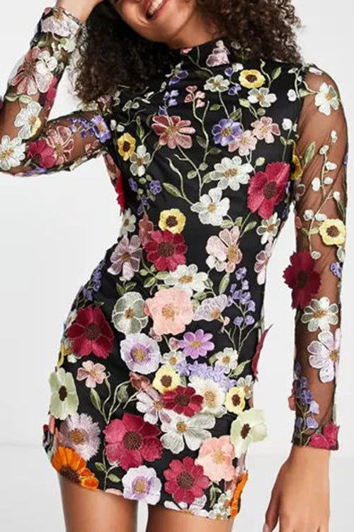 3D Floral Appliqué Sheer Bodycon Mini Dress