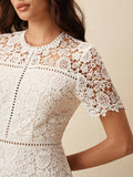 <a href="https://beryl-boutique.com/dress">
<img src="xxx.jpg" alt="  Anewsta Elegant Lace Patchwork Splice Coffee Short Sleeve Ruffle Splice Dress">
</a>
