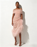 <img src="https://www.beryn-boutique.com/" 
       alt="Nude Feather Off Shoulder Midi Dress" 
       loading="lazy" />